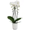 elho® Vibes Übertopf Fold Orchidee hoch Seidenweiß Ø 13,2 cm - Kunststoff