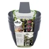 elho® Vibia campana 3er Wandtopf vertikal forrest Anthrazit - Kunststoff