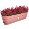 elho® Vibia campana Balkonkasten Puderrosa 70 cm - Kunststoff