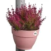 elho® Vibia campana Fallrohr Pflanzgefäß Puderrosa 22 cm - Kunststoff