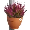 elho® Vibia campana Fallrohr Pflanzgefäß Terracotta 22 cm - Kunststoff