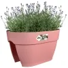 elho® Vibia campana Geländerkasten Flower Bridge Puderrosa 40 cm - Kunststoff