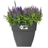 elho® Vibia campana quadrat Pflanzkübel Anthrazit 30 cm - Kunststoff