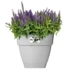 elho® Vibia campana quadrat Pflanzkübel Living Beton grau 30 cm - Kunststoff