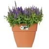 elho® Vibia campana quadrat Pflanzkübel Terracotta 37 cm - Kunststoff
