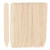 Esschert Design Garten Basics Etiketten L Beige aus Holz 15 cm - 40er Pack