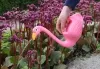 Esschert Design Gießkanne Flamingo 1,46 Liter Volumen - Kunststoff