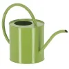 Esschert Design Gießkanne S Grün 1,3 Liter aus Metall