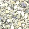 Eurosand Muschelgranulat 2-4 mm natur 550 ml