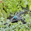 GARDENA® Micro-Drip-System 2.0 Kleinflächendüse - 10er Pack