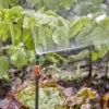 GARDENA® Micro-Drip-System 2.0 Verlängerungsrohr für Sprühdüsen