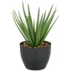 GASPER Aloe Vera im Kunststofftopf mit Kies 20 cm, grün, 11 x 9 cm