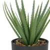 GASPER Aloe Vera im Kunststofftopf mit Kies 20 cm, grün, 11 x 9 cm