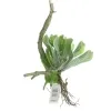 GASPER Anhänger Ast mit aufsitzender Sukkulente Grün 33 cm - Kunstpflanzen