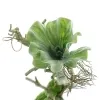 GASPER Anhänger Ast mit aufsitzender Sukkulente Grün 33 cm - Kunstpflanzen