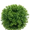 GASPER Buchsbaumkranz Ø 33 cm - Kunstpflanzen