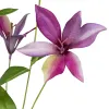 GASPER Clematis mit Sternblüten in Rosa & Blauen Tönen 84 cm - Kunstpflanzen