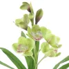 GASPER Cymbidie schwarzer Topf Ø 11,5 cm Grün 46 cm - Kunstpflanzen