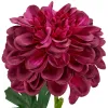 Gasper Dahlienzweig 54 cm lila - Kunstblume