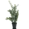GASPER Eucalyptus im schwarzen Topf 53 cm grau-grün - Kunstpflanzen