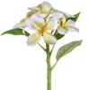 GASPER Frangipani - Plumeria Gelb & Weiß 32 cm - Kunstblumen