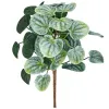 GASPER Kanonierblume Grau-Grün Ø 20 cm - Kunstpflanzen