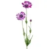 GASPER Kapmargeritenblüten Lila-Violett löffelblättrig 66 cm - Kunstblumen