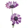 GASPER Kapmargeritenblüten Lila-Violett löffelblättrig 66 cm - Kunstblumen