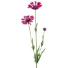 GASPER Kapmargeritenblüten Pink-Bordeaux löffelblättrig 66 cm - Kunstblumen