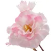 GASPER Kirschblütenzweig Zartrosa verzweigt 80 cm - Kunstblumen