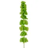 GASPER Muschelblume-Molucella Grün 78 cm - Kunstpflanzen