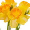 GASPER Osterglocken-Narzissenbund Gelb & Orange 3 Stiele 41 cm - Kunstblumen