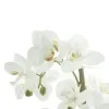 GASPER Orchidee Weiß im weißen Steinguttopf 33 cm - Kunstpflanzen