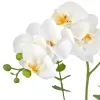 GASPER Phalaenopsis x6, 40cm, weiß, im weißen Melamintopf 9x9cm, Real Touch