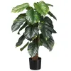 GASPER Philodendron scandens mit Cocosstamm 90 cm grün im Kunststofftopf