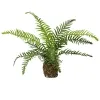 GASPER Rippen-Farn im Ballen 33 cm - Kunstblumen