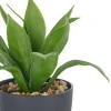 GASPER Sansevieria Moonshine - Bogenhanf im Kunststofftopf mit Kies 20 cm, grün, 11 x 9 cm
