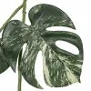 GASPER Mini-Fensterblatt-Monstera Ranke Grün & Creme 135 cm - Kunstpflanzen