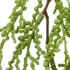 GASPER Sukkulenten Ranke Grün mit Krokodilklemme 57 cm - Kunstpflanzen