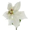 GASPER Weihnachtsstern - Poinsettie Weiß 60 cm - Kunstblumen