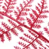 GASPER Zierspargel-Asparagus plumosus Pink 87 cm - Kunstpflanzen