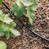 GEKA® Drip System 6 mm Set Bewässerung für Gemüse- & Blumen- Beet - 15 Meter