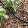 GEKA® Drip System 6 mm Tropfrohr - 15 Meter