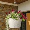 LECHUZA® Blumenampeln NIDO Cottage 35 Lichtgrau All-in-One