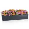 LECHUZA® Blumenkasten BALCONERA Color 100 Schiefergrau All-in-One