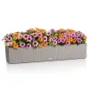 LECHUZA® Blumenkasten BALCONERA Cottage 100 Sandbraun All-in-One