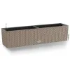 LECHUZA® Blumenkasten BALCONERA Cottage 80 Sandbraun All-in-One