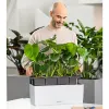 LECHUZA® Blumenkasten BALCONERA Stone 50 Quarzweiß All-in-One