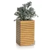 LECHUZA® PALO Natural Wood 35 high - Komplettset FSC 100 % Eukalyptus grandis