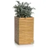 LECHUZA® PALO Natural Wood 45 high - Komplettset FSC 100 % Eukalyptus grandis